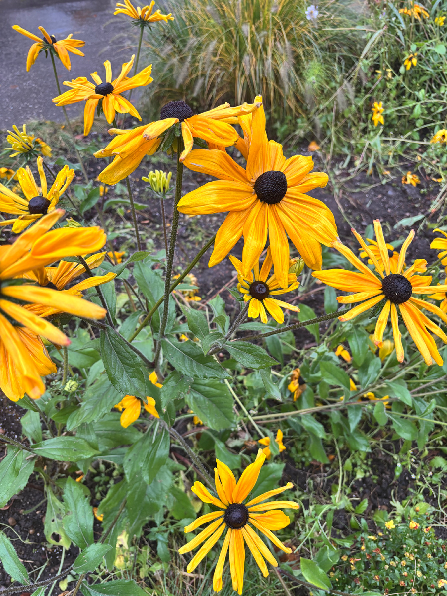 Фото в этой статье не имеют никакой смысловой нагрузки, просто для разбавления статьи красивыми картинками. Все фото авторские 
