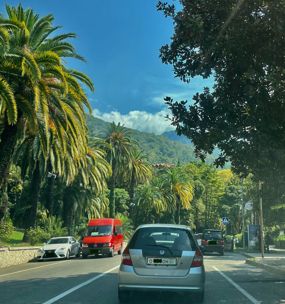 Абхазия, мы приехали! Все фото в статье из семейного архива за сентябрь-2025, копирование запрещено