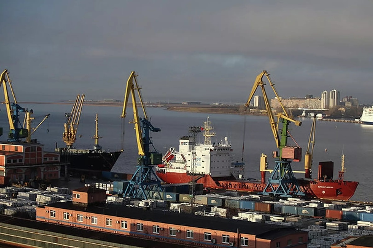    Фото: Вера Бачинина, источник РИА Новости