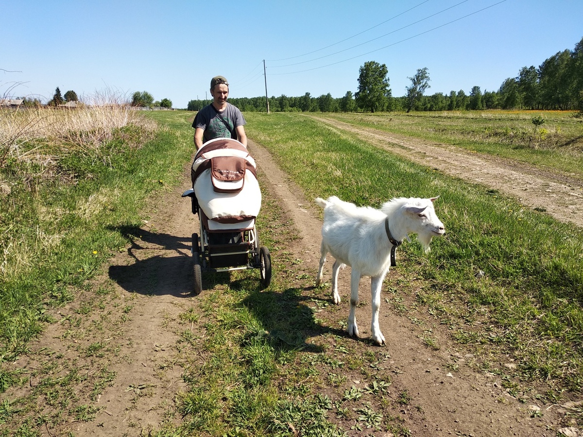 Козлик Митя и папа Василия Васильевича выгуливают Василия Васильевича