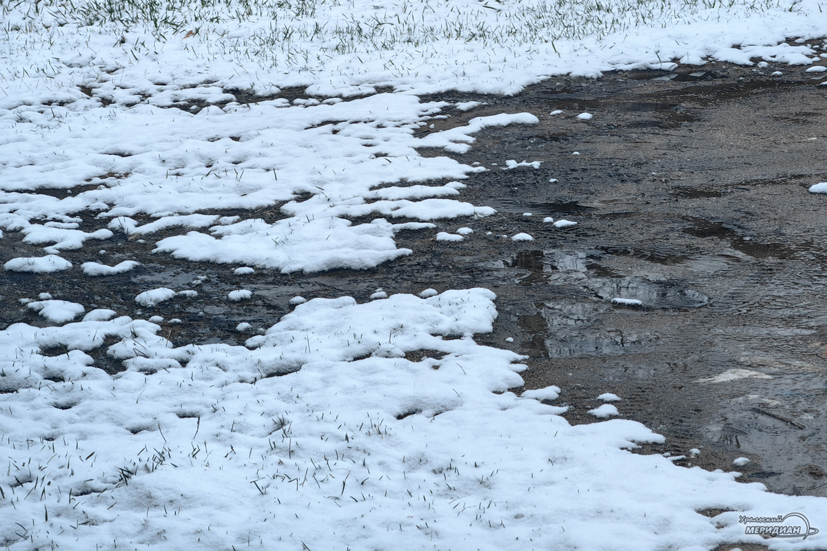    Фото: © ИА «Уральский меридиан»