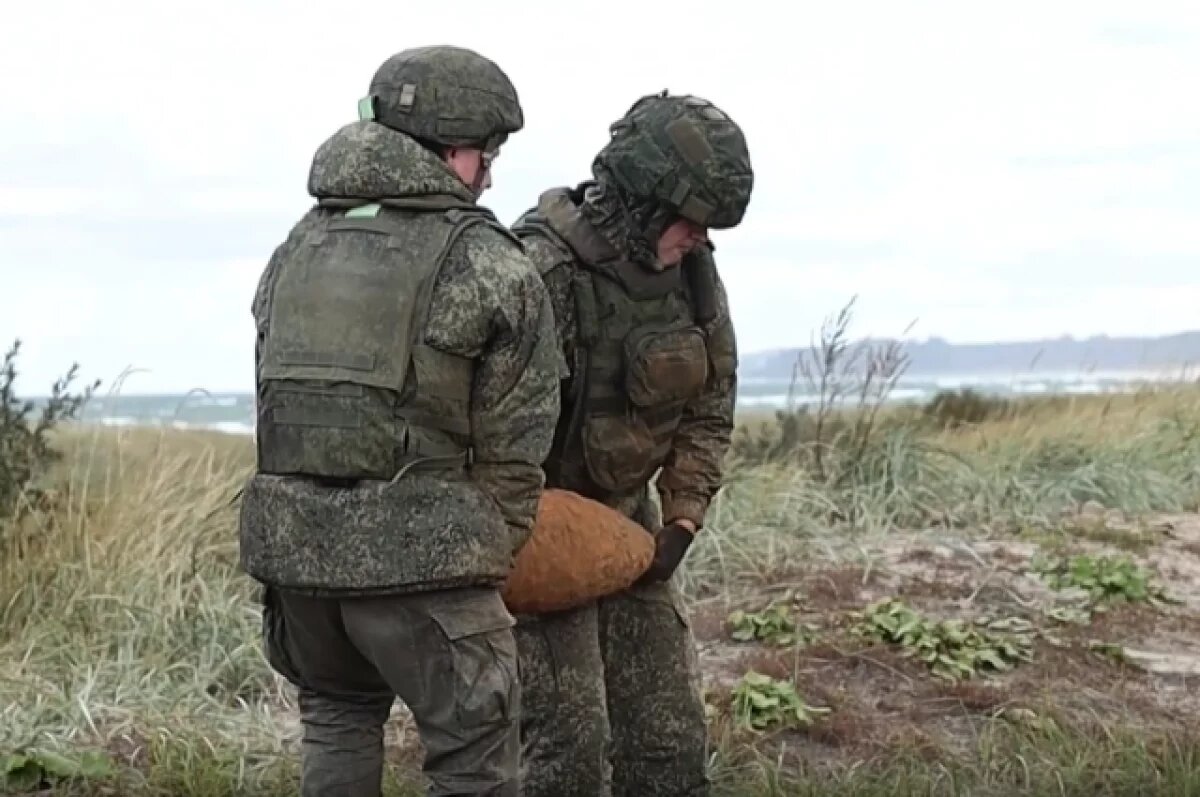    Саперы ликвидировали под Калининградом более 500 боеприпасов времен ВОВ