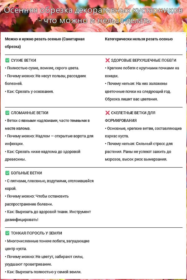 Таблица что и как срезать на примере калины Бульденеж, сирени, гортензии. Таблица сделана автором в Google Документах.