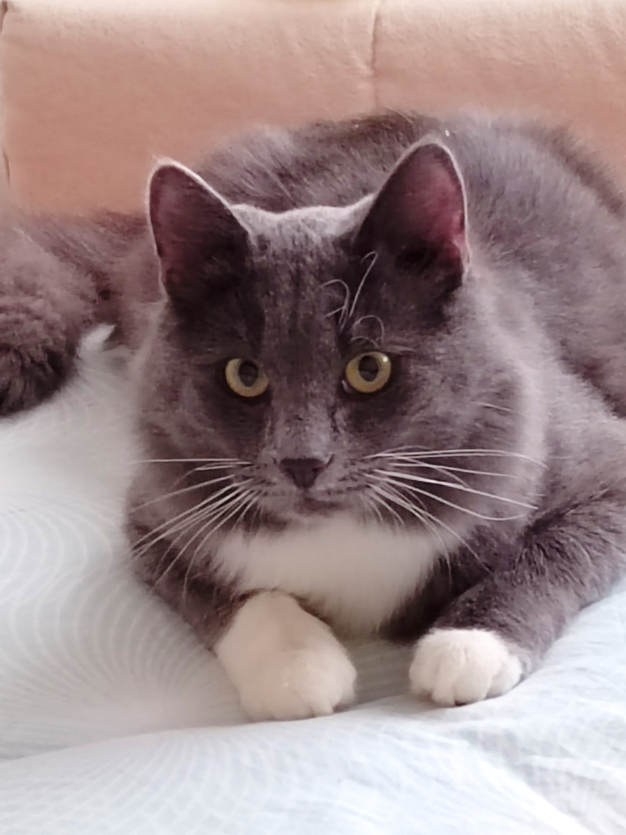 Фото автора канала.