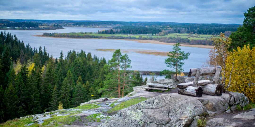Железистые воды в Карелии