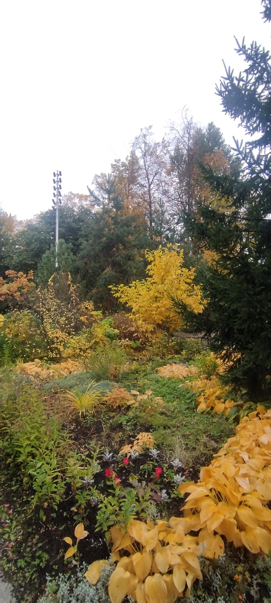 На территории Крестовоздвиженского собора