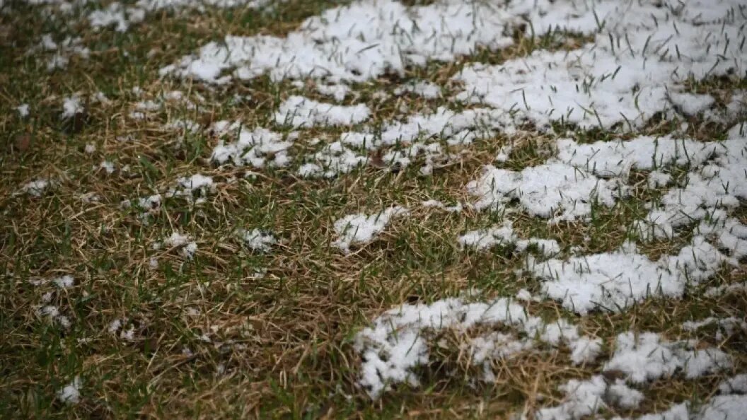    Komsomolskaya Pravda/Globallookpress