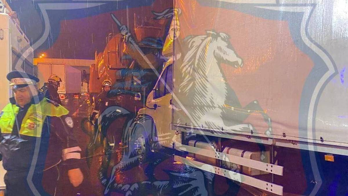    Фото: Telegram / Госавтоинспекция Москвы