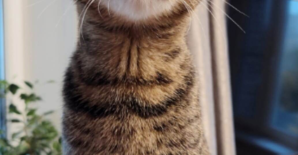 Малыш, которого никто не хотел замечать