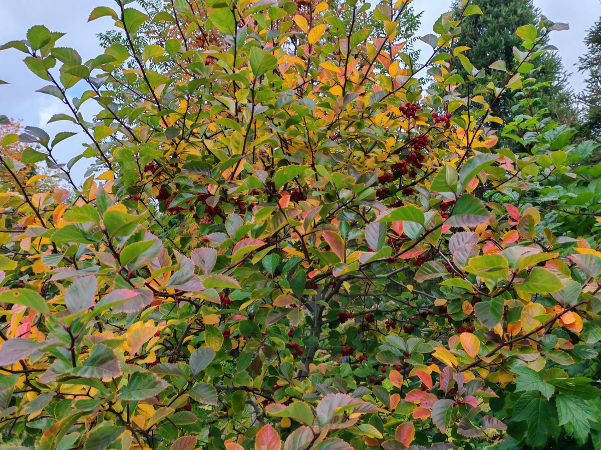 Будьте счастливы!