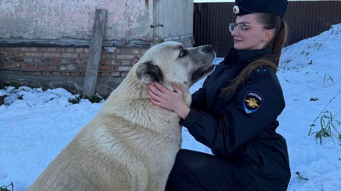    УМВД России по Омской области