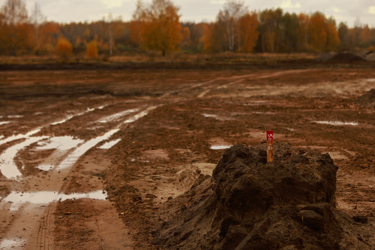 Автор фото: Павел Хацаюк / ИД «Вечерняя Казань»