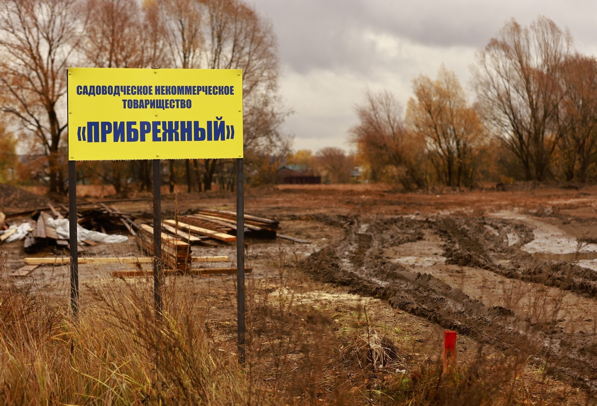 Автор фото: Павел Хацаюк / ИД «Вечерняя Казань»