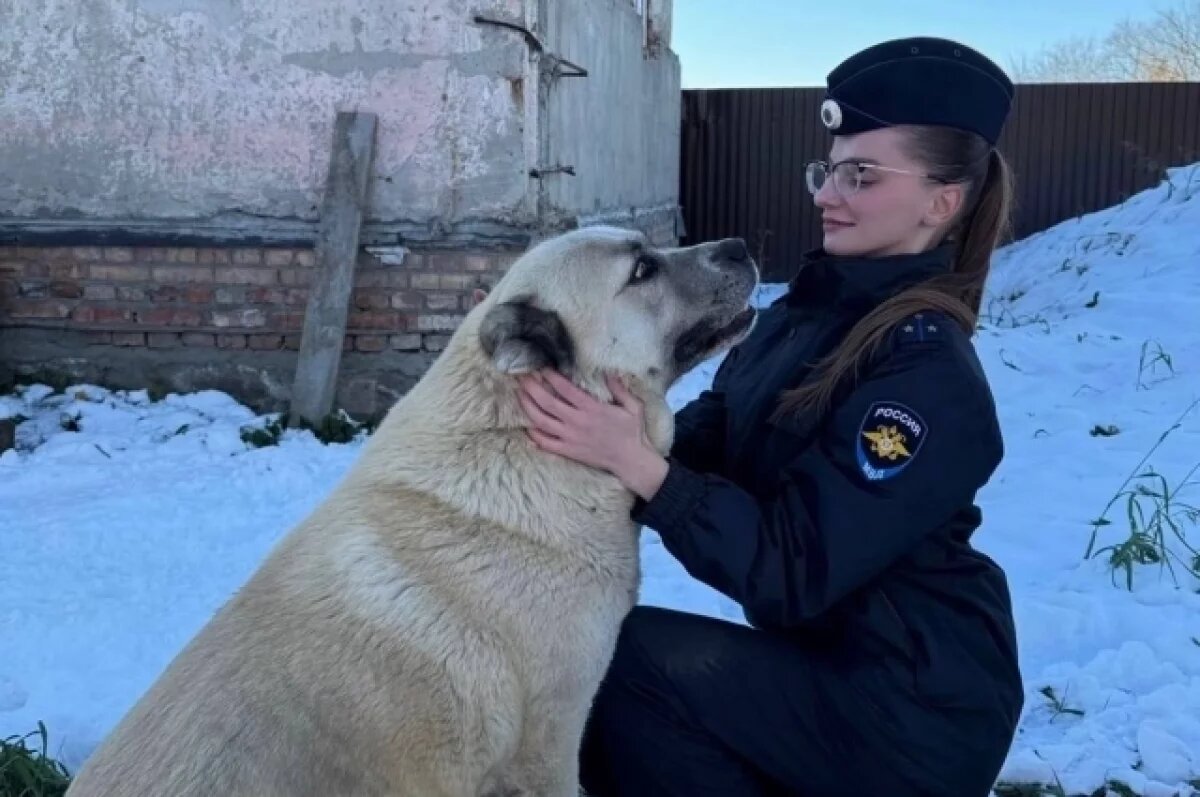    В Омской области полицейские вернули хозяйке похищенного алабая