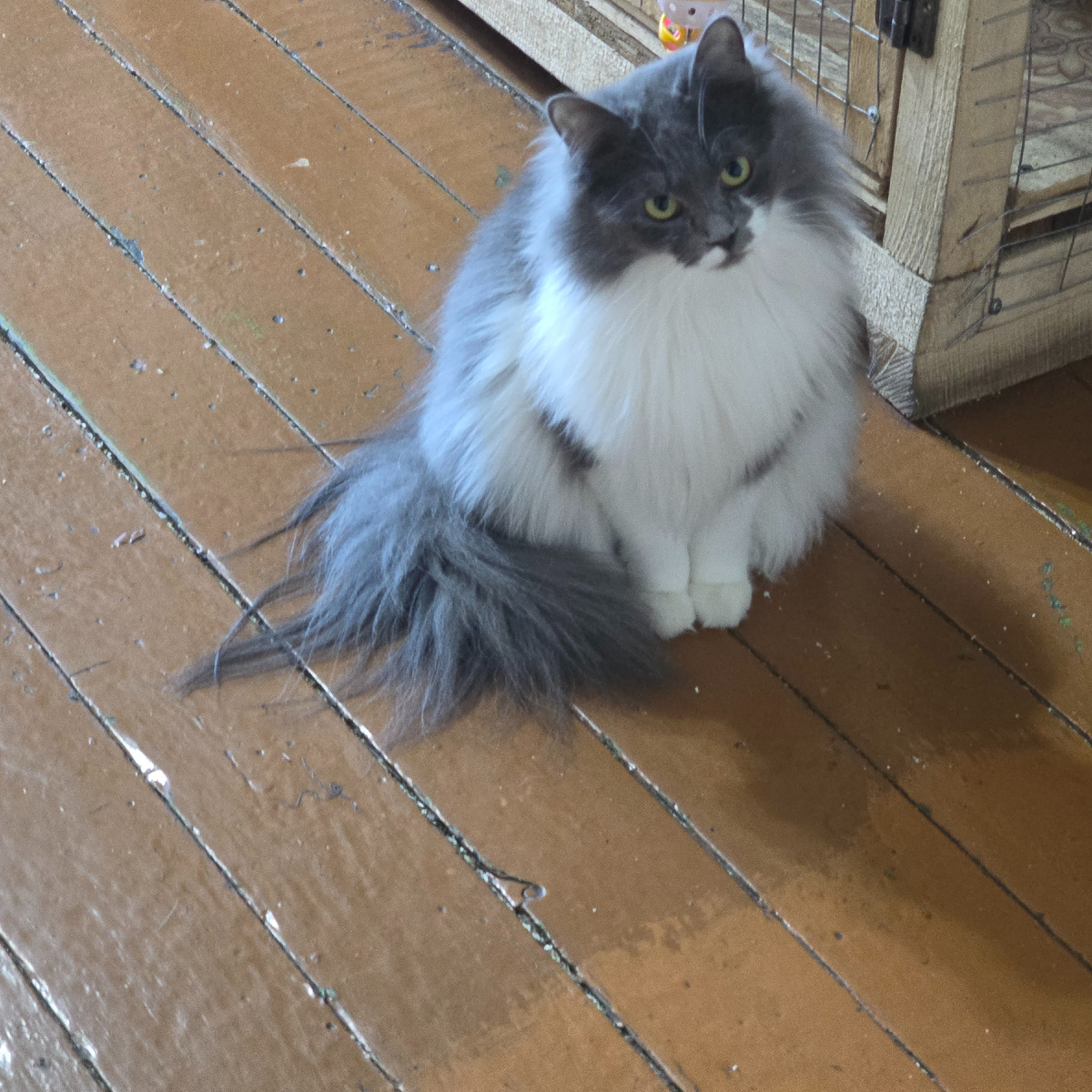 Опять ты!? Ну мы же договаривались!