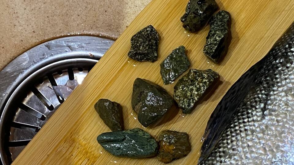 Рыба с камнями. Наглый обман на Алтае или просто не повезло?