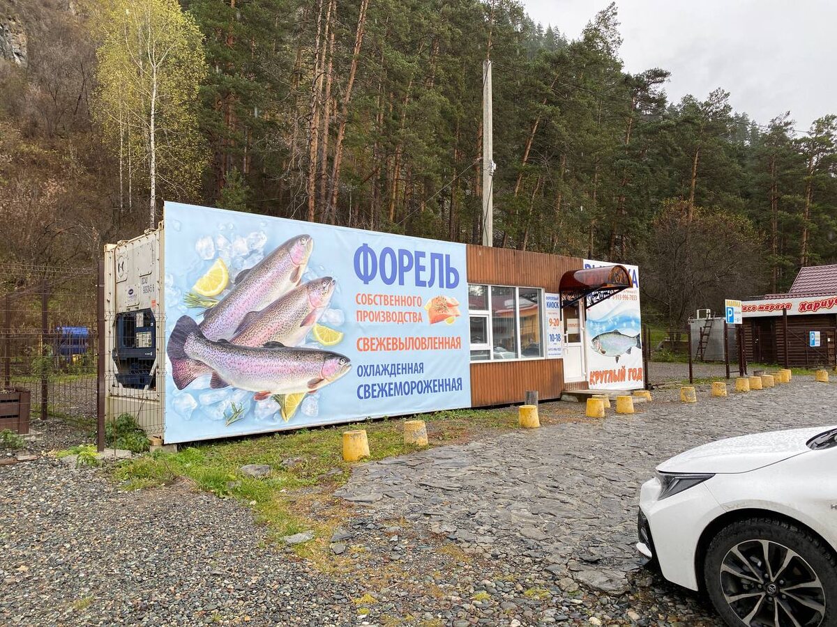 Речно вокзал. Чуйская ул., 2/1, посёлок Барангол. Республика Алтай. Вдоль Чуйского тракта.