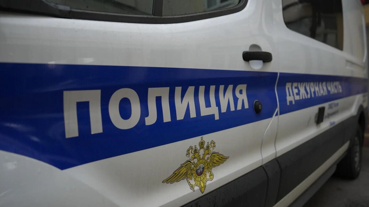    Фото: ИЗВЕСТИЯ/Дмитрий Коротаев