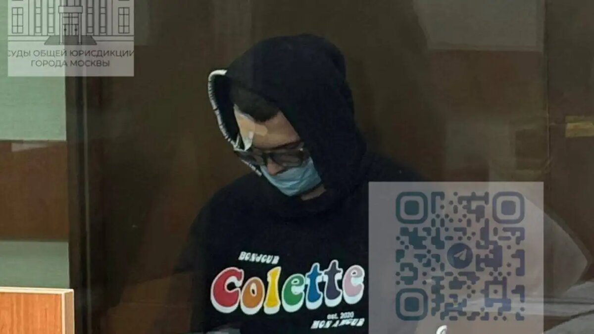    Никита Ефремов в суде (внесен в РФ реестр террористов и экстремистов) © Суды общей юрисдикции Москвы