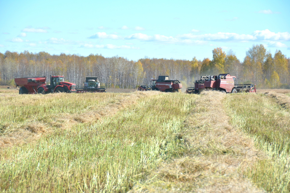 Фото: Пресс-служба минсельхоза Челябинской области