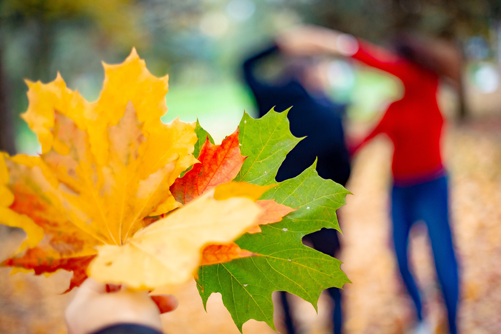 Погода в Твери 15 октября. Немного солнца