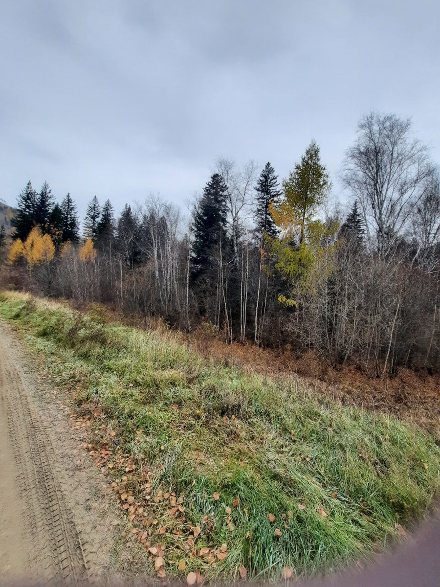 Фото автора.