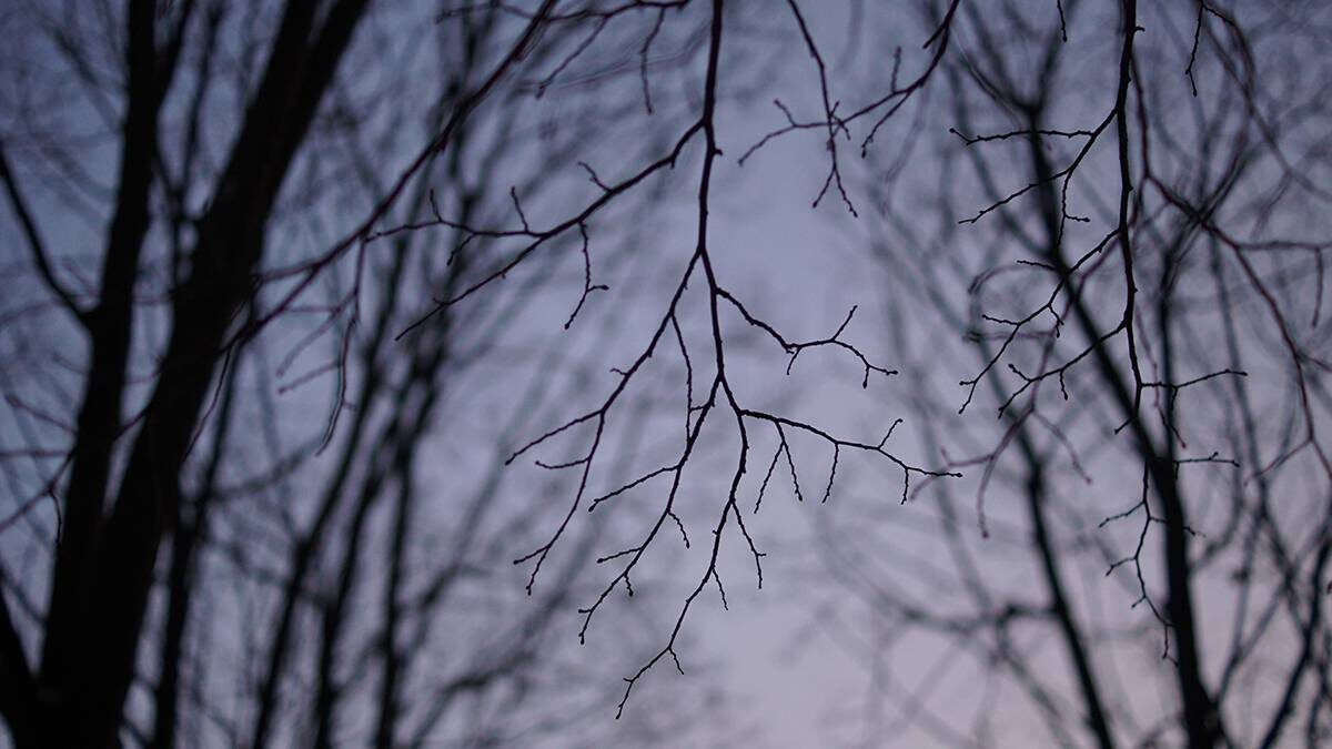    Фото: Анатолий Цымбалюк / Вечерняя Москва