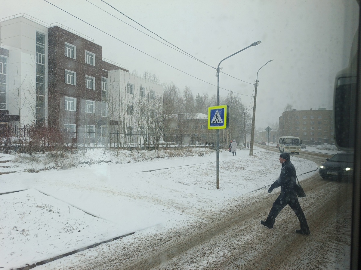    «Вся зима будет аномальная». Синоптики сообщили, к чему готовиться