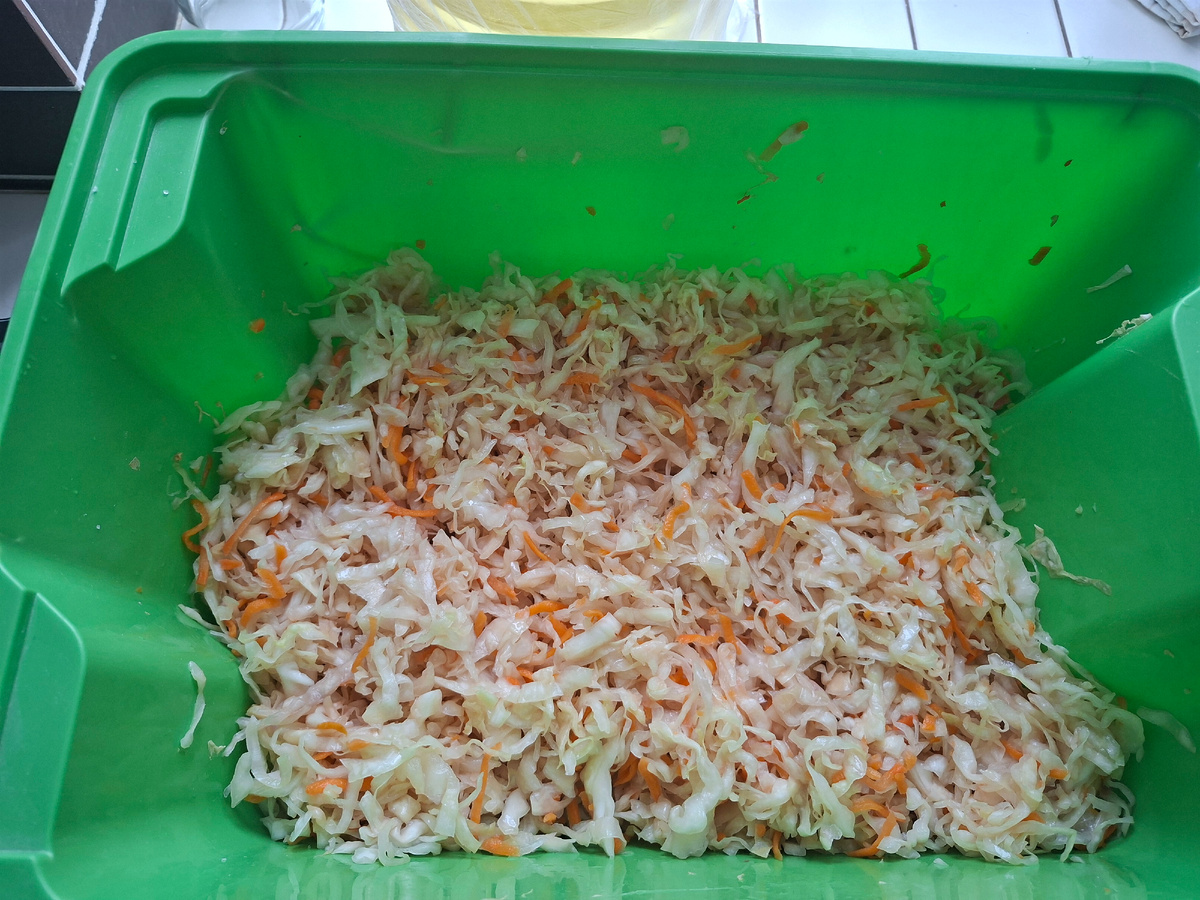 фото из личного архива