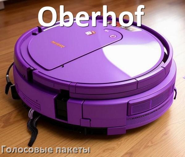 
Языковые голосовые пакеты для робота пылесоса Oberhof скачать озвучку на русском