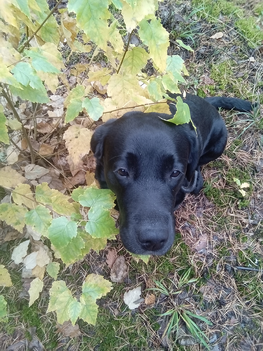 Фото автора. 