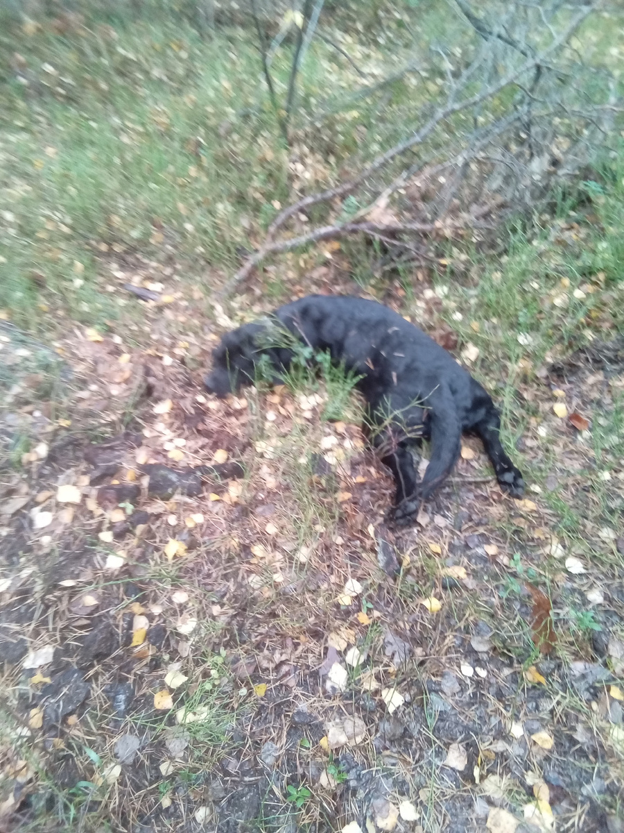 Фото автора. 