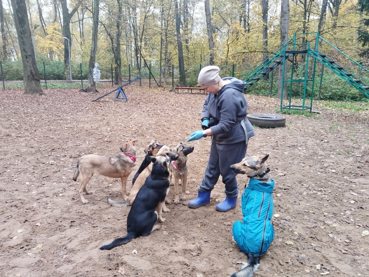 Я ехала долго, поэтому дети слушаем внимательно и не капризничаем:)