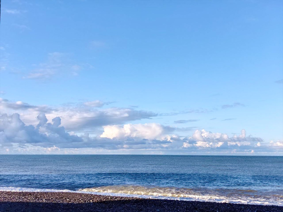    Фото: пресс-служба администрации города Сочи