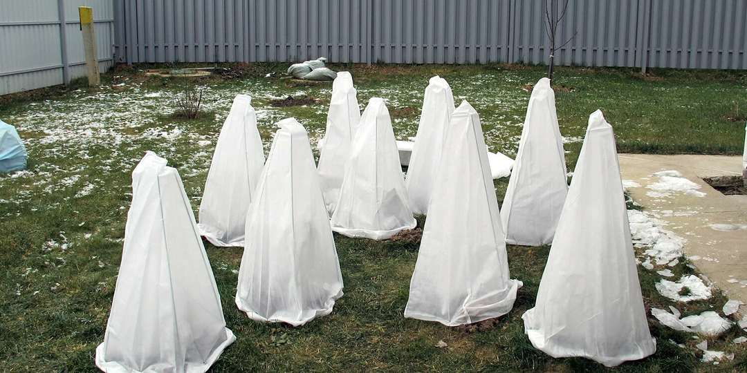 Укрытие на зиму. Что оно дает и каким должно быть?