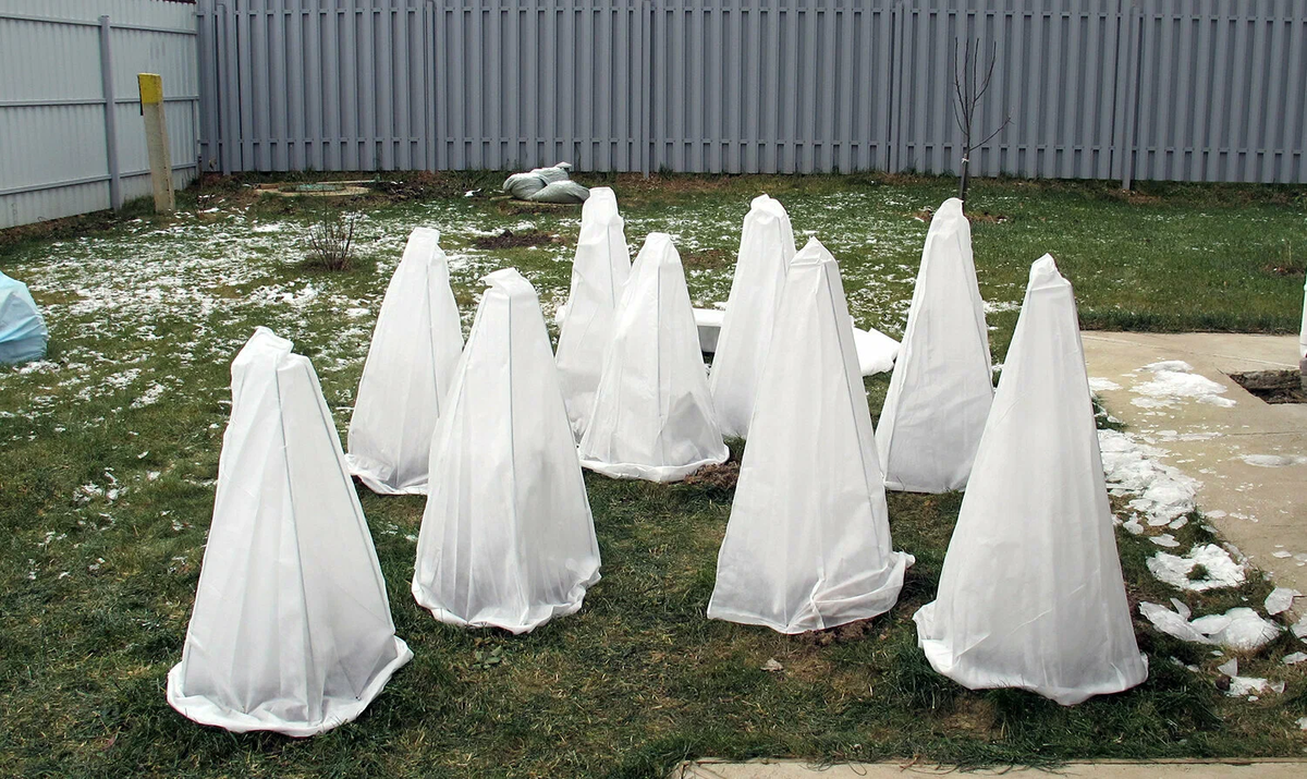 Каркасное укрытие саженцев на зиму