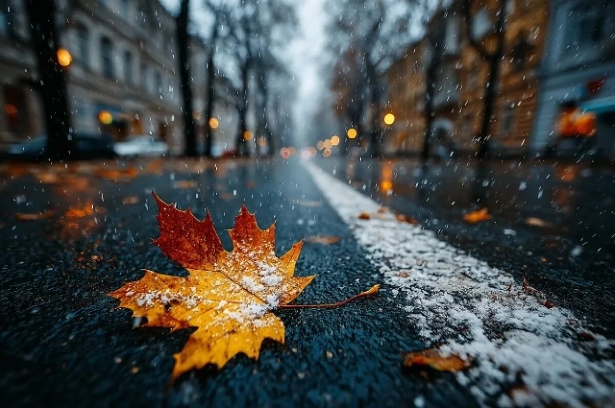    Снег и шторм обрушатся в выходные на Хабаровский край