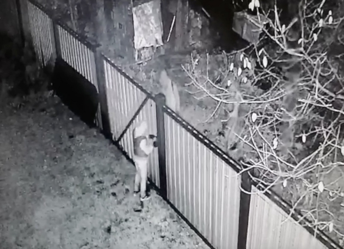     Фото: УМВД Екатеринбурга