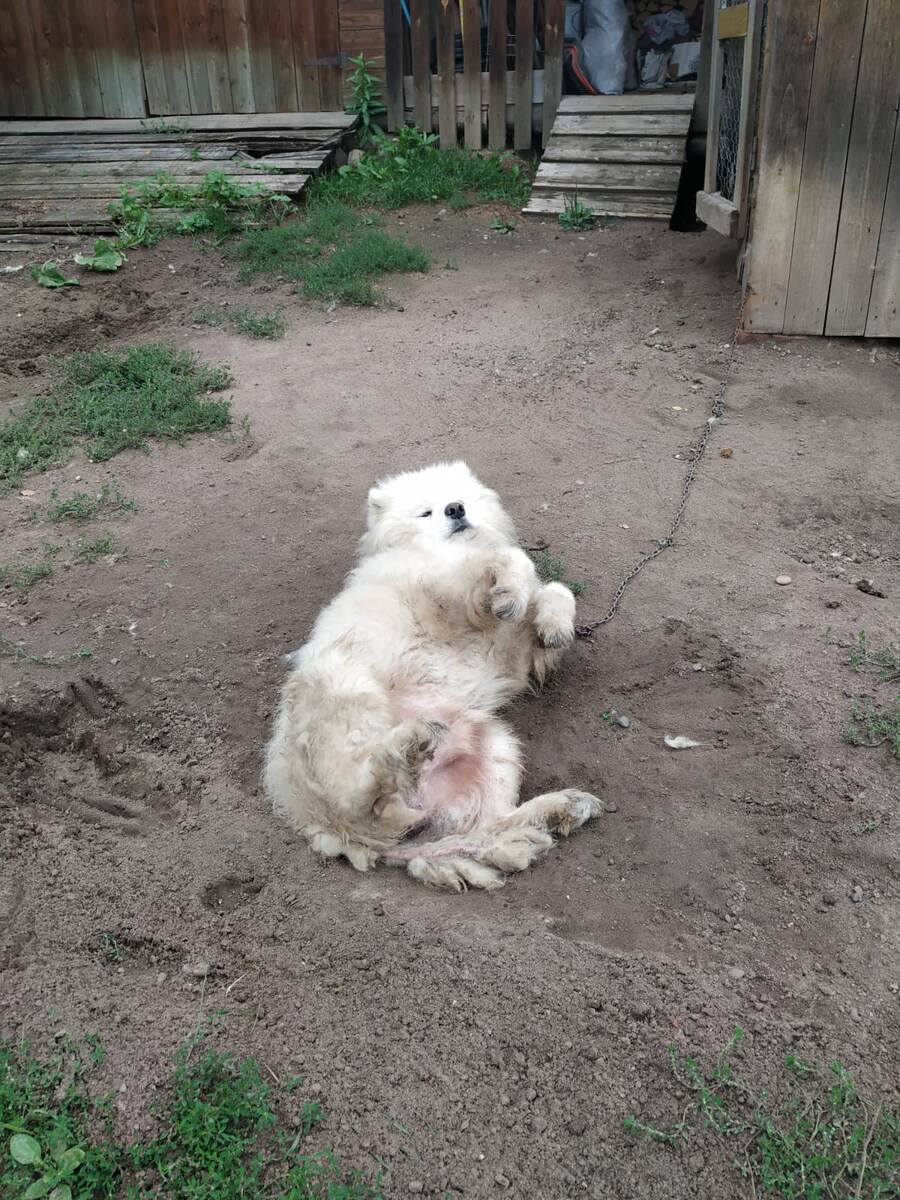 Фото автора