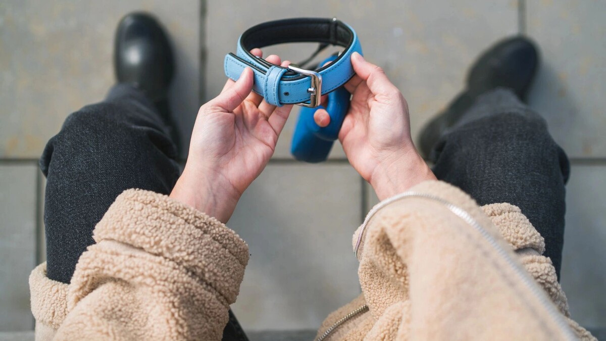    Фото: Soloviova Liudmyla/Shutterstock/Fotodom