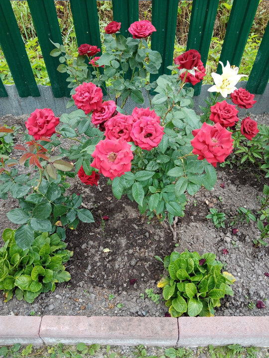 Фото автора 