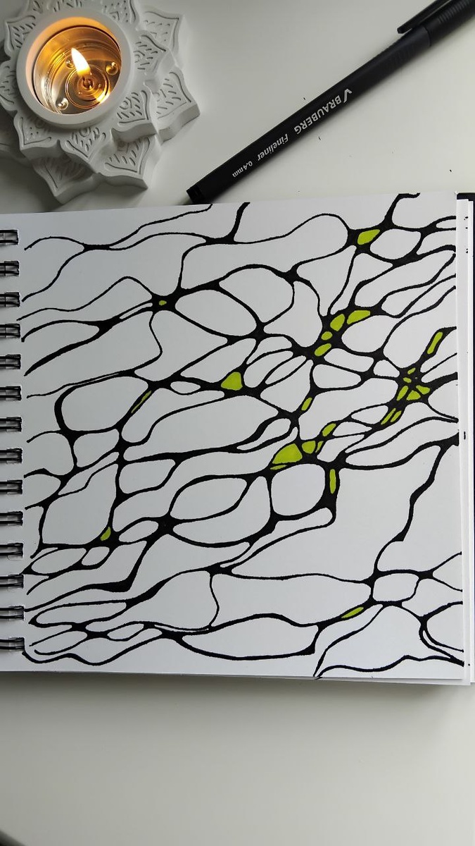 Нейролинии