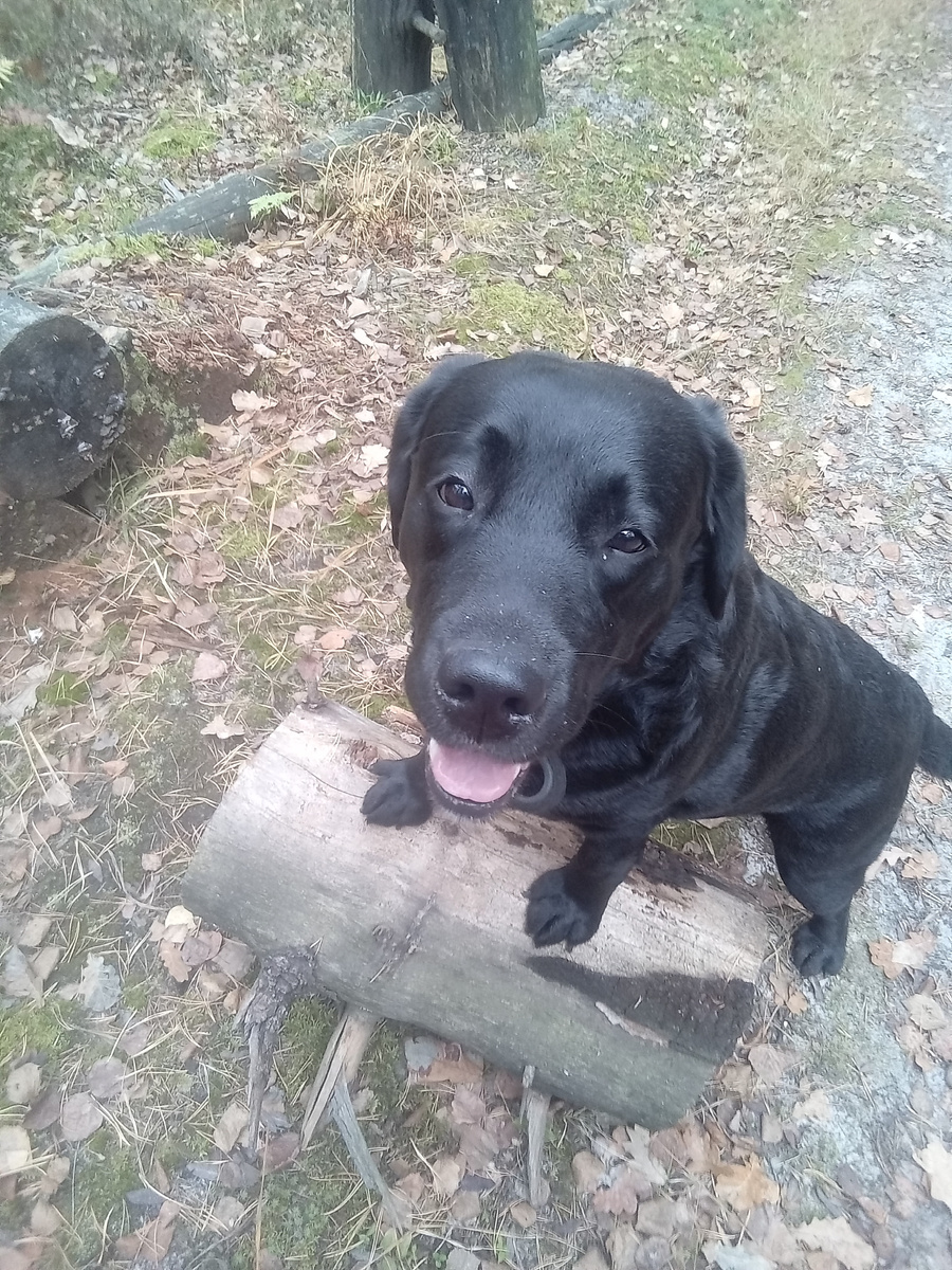 Фото автора. 