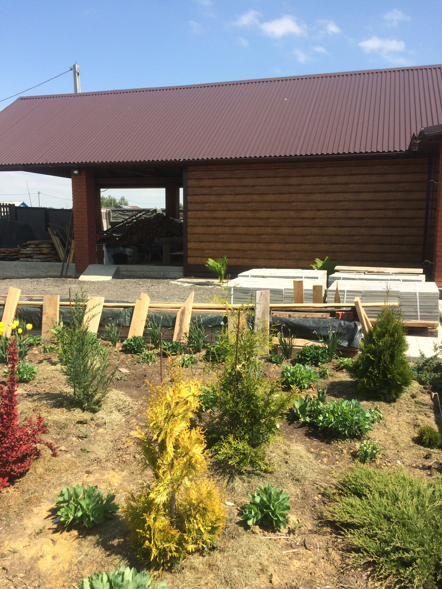 Так начинался хвойный миксбордер. Фото Мой второй сад