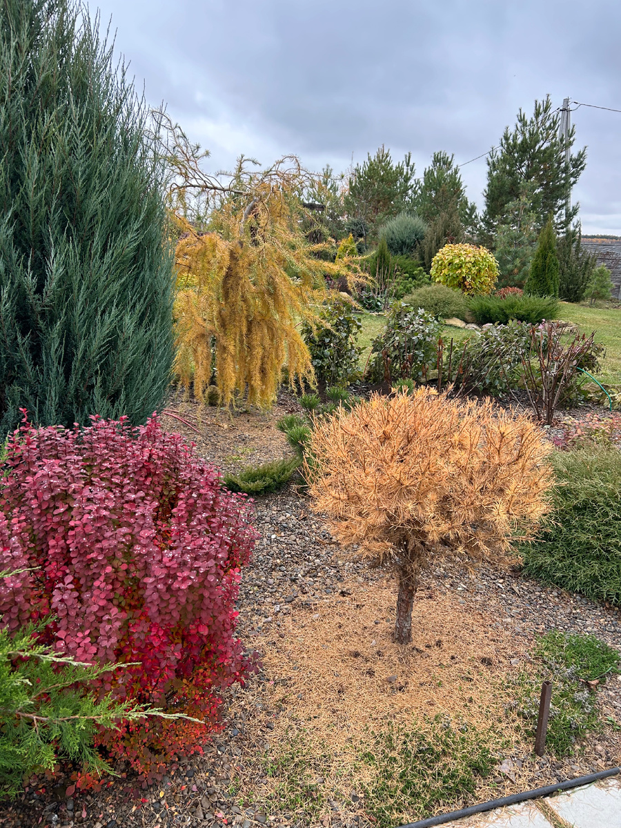 Октябрь в саду. Фото Мой второй сад