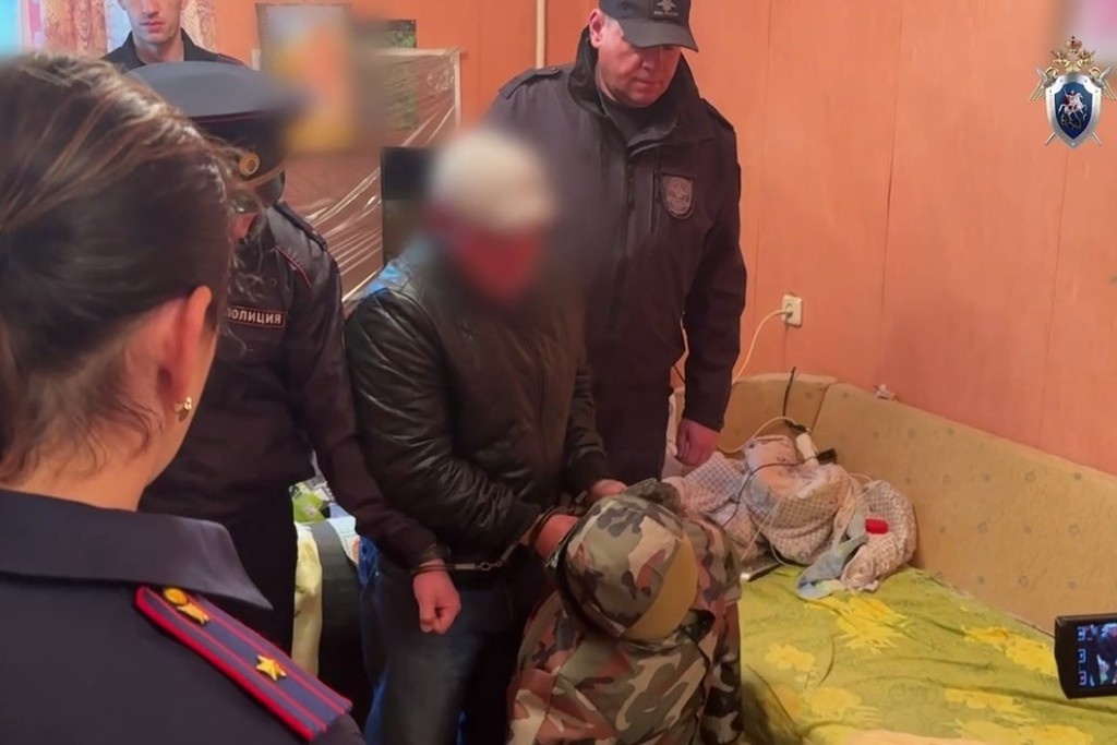    Фото © Telegram / СК Подмосковья