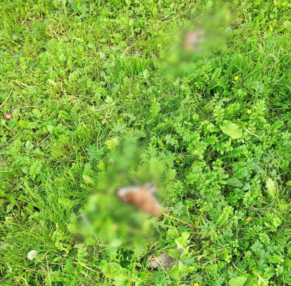    Фото: Прокуратура Красноярского края