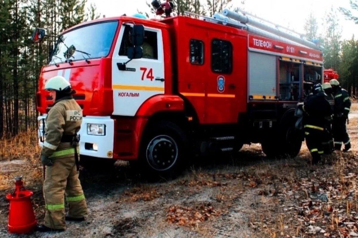    Морозы не страшны, если ты к ним готов.