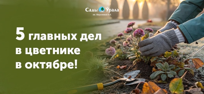 Создать карусель