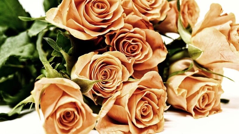     Букет, цветы. pixabay.com/